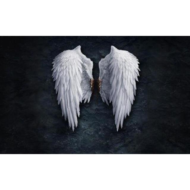 Angel Wings Wall Art Prints (75x120cm) - Fansee Australia