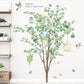 Birdcages On Tree Wall Stickers - Fansee Australia