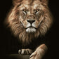 African Lion Wall Art Print (70x100cm) - Fansee Australia