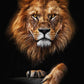 African Lion Wall Art Print (70x100cm) - Fansee Australia