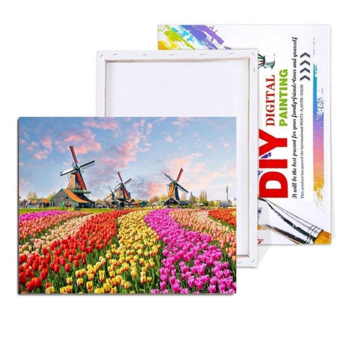 Flowers Field Painting With Numbers Kit (40x50cm Framed Canvas) - Fansee Australia