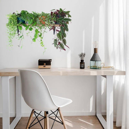 Green Plants In A Pot Wall Sticker - Fansee Australia