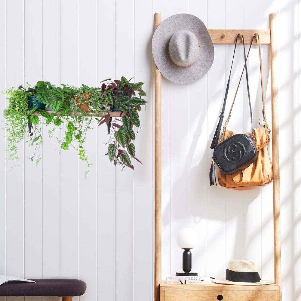 Green Plants In A Pot Wall Sticker - Fansee Australia