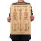 Human Skeleton Structure Kraft Paper Wall Art Print (42x29cm) - Fansee Australia