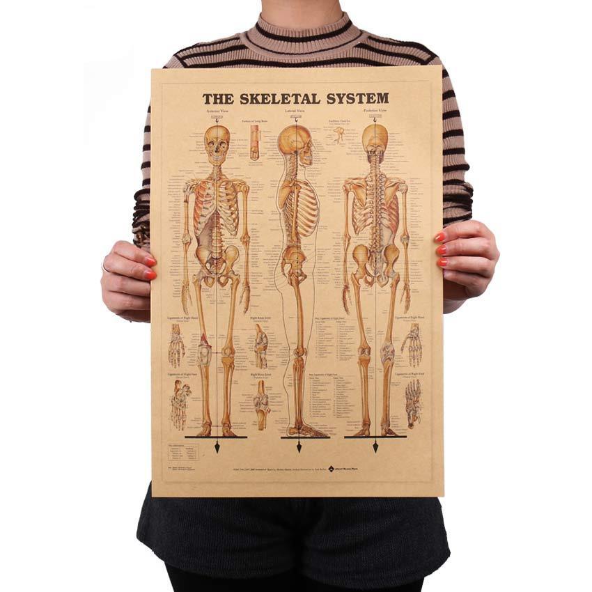 Human Skeleton Structure Kraft Paper Wall Art Print (42x29cm) - Fansee Australia