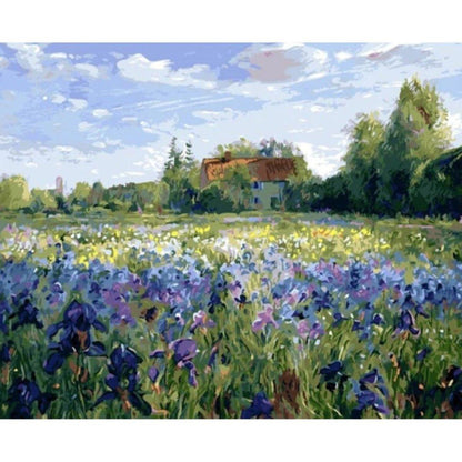 Purple Field Painting By Numbers Kit (40x50cm Stretched Canvas) - Fansee Australia