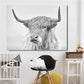 Highland Cow Canvas Prints - Fansee Australia