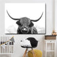 Highland Cow Canvas Prints - Fansee Australia