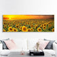 Sunflower Field Canvas Print - artwallmelbourne